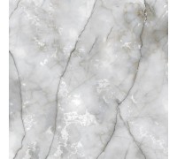 Керамогранит ORIENT CERAMIC  600x600x 9мм матовый Passion Ice 1,44м2/48,96м2